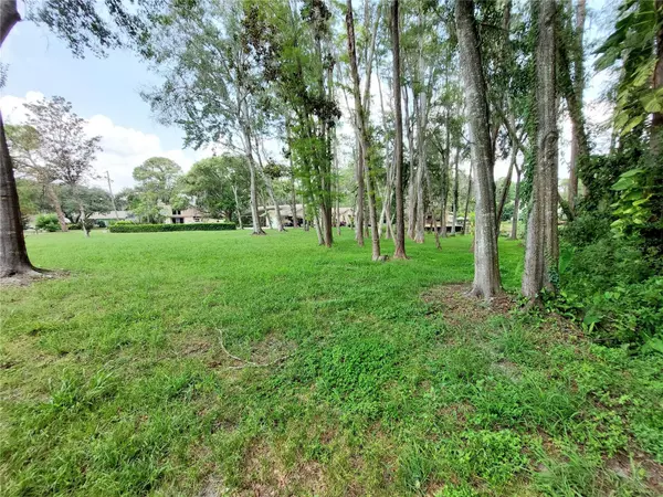 New Port Richey, FL 34654,LACEY DR