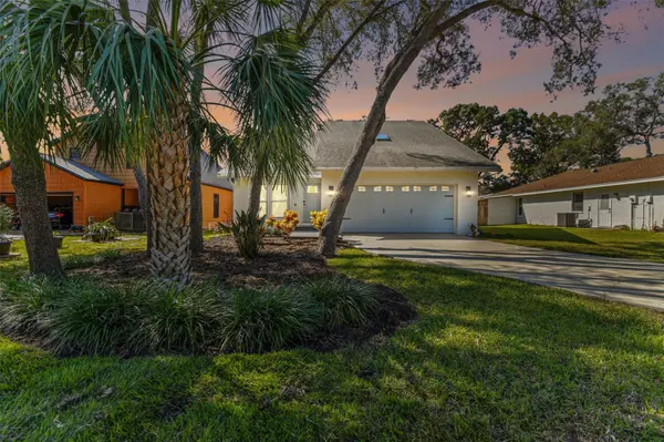 1417 POINSETTIA AVE, Tarpon Springs, FL 34689