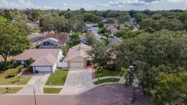 Palm Harbor, FL 34684,2628 SUNRIDGE CIR