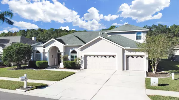 Wesley Chapel, FL 33543,1331 DEERBOURNE DR