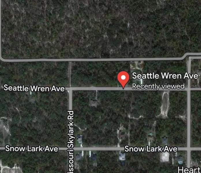 11199 SEATTLE WREN AVE, Weeki Wachee, FL 34614