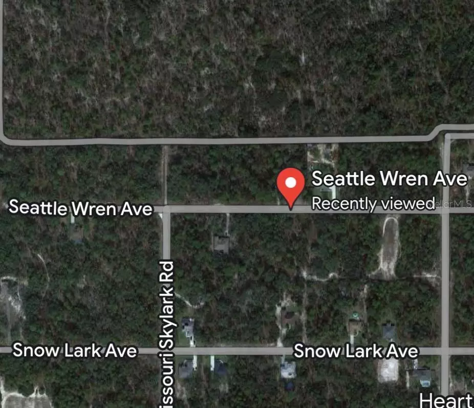 Weeki Wachee, FL 34614,11199 SEATTLE WREN AVE