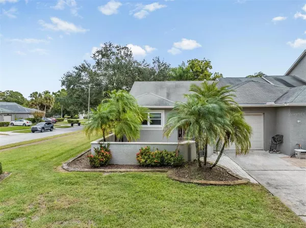 177 HUNTER CT, Palm Harbor, FL 34684
