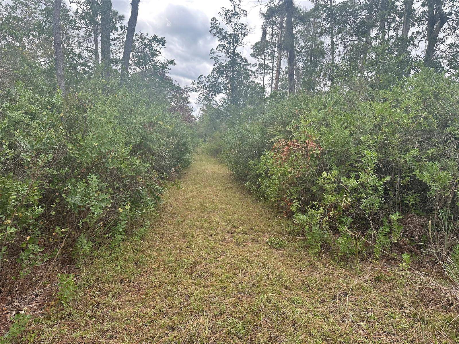 Christmas, FL 32709,1112 GREENBRIAR DR