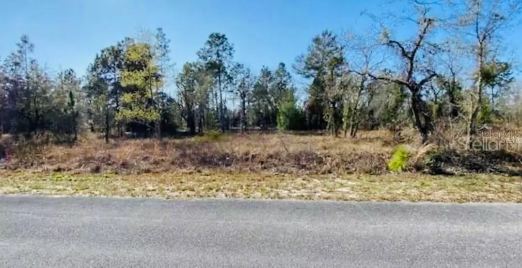 Dunnellon, FL 34431,LOT 35 BANYAN LN