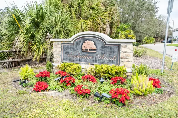 Dunedin, FL 34698,2336 SPICEWOOD CT