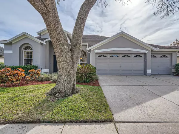 12404 ASHVILLE DR, Tampa, FL 33626