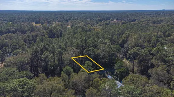 Dunnellon, FL 34431,0 SW ORIOLE DR