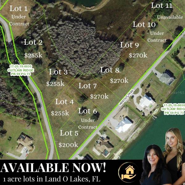 2 OUTLAW WAY, Land O Lakes, FL 34639