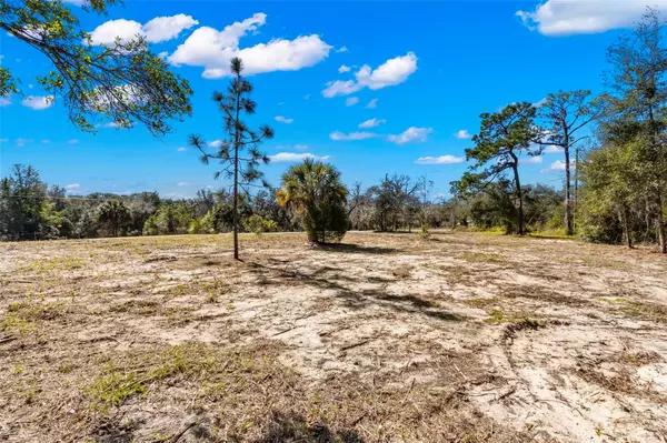 14567 LITTLE RANCH RD, Spring Hill, FL 34610