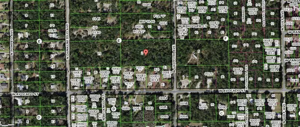 Crystal River, FL 34429,596 N GRIFFITH AVE