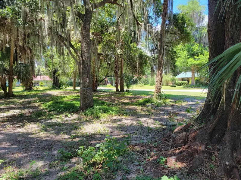 LOT 1 NW 217TH ST, Micanopy, FL 32667