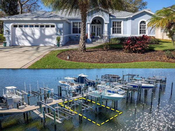 1771 MEYERS COVE DR,  Tarpon Springs,  FL 34689