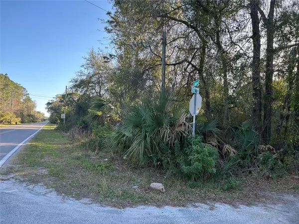 New Port Richey, FL 34654,0 LAKE DR