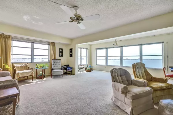 Gulfport, FL 33707,5900 SHORE BLVD S #501