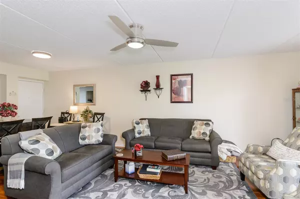 Oldsmar, FL 34677,299 CYPRESS LN #71