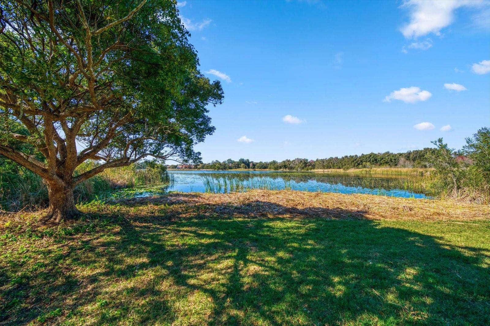 Clearwater, FL 33759,2850 SUNSTREAM LN