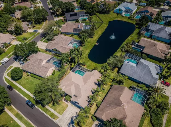 Oldsmar, FL 34677,4731 STONEVIEW CIR