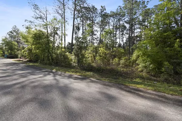 Dunnellon, FL 34431,0 BANYAN LN