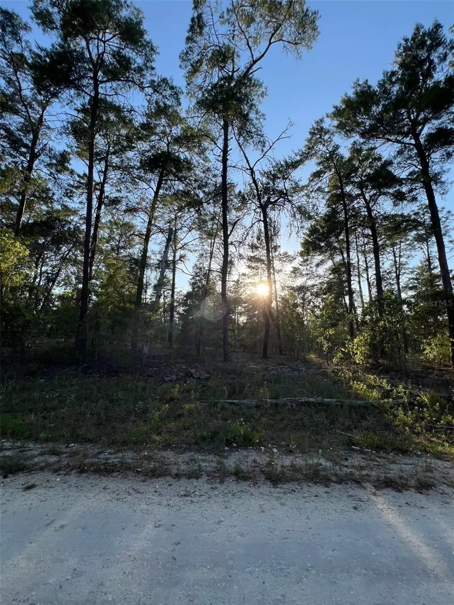 Williston, FL 32696,SE 145TH CT