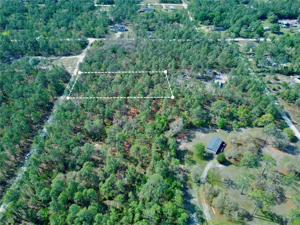 Morriston, FL 32668,SE 142ND CT