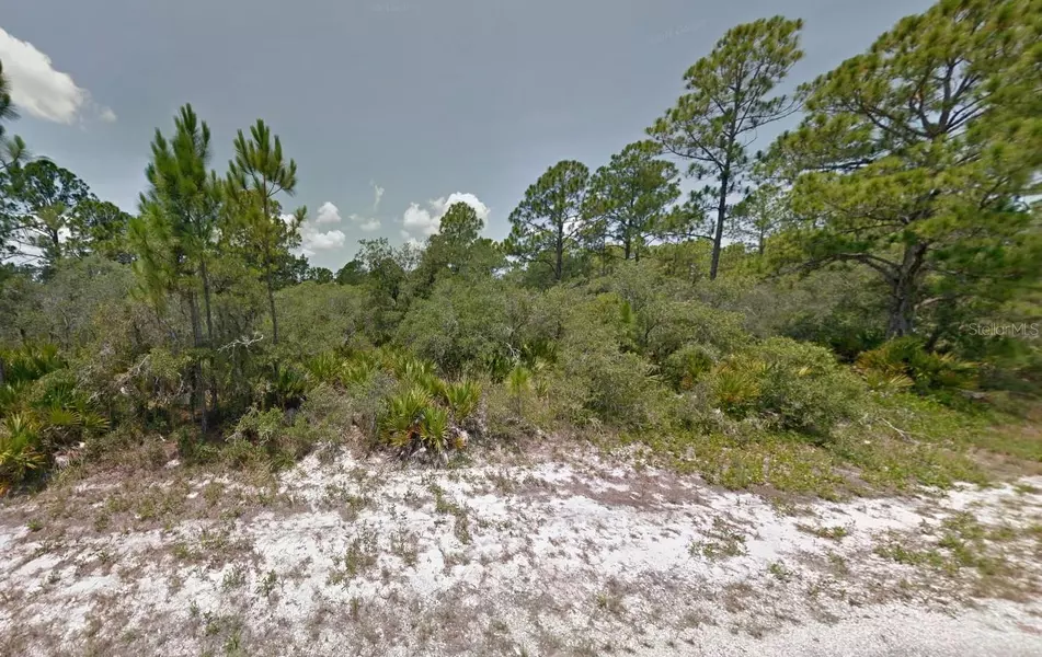 602 BUCKLEY RD, Lake Placid, FL 33852