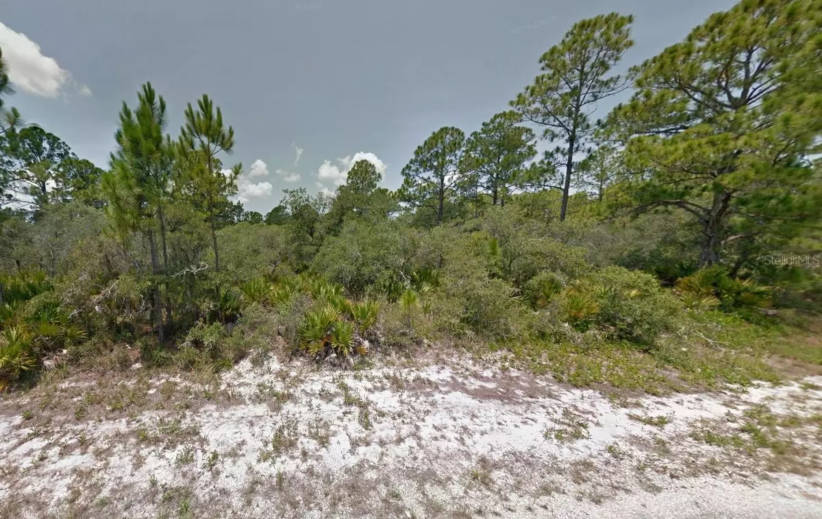 Lake Placid, FL 33852,602 BUCKLEY RD