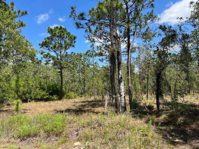 NW AMBERJACK AVE #Lot #33, Dunnellon, FL 34431