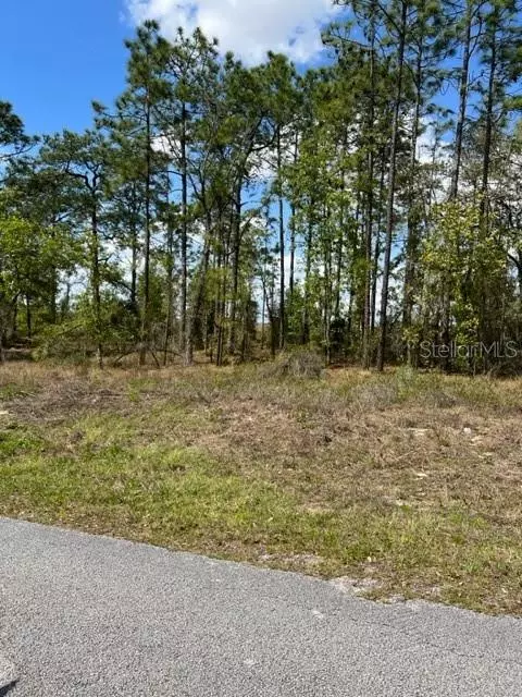 Dunnellon, FL 34431,1 FALCON AVE