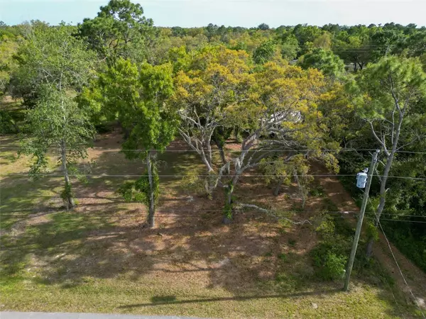 Spring Hill, FL 34606,7418 CENTERWOOD AVE #Lot 020