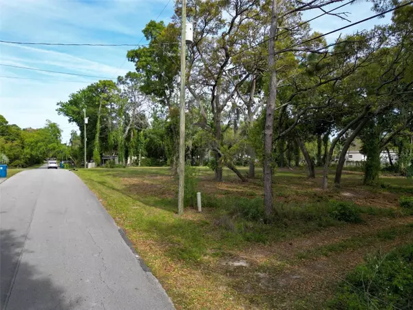 Spring Hill, FL 34606,7418 CENTERWOOD AVE #Lot 020