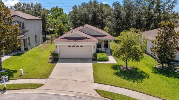 4316 OLD WAVERLY CT, Wesley Chapel, FL 33543