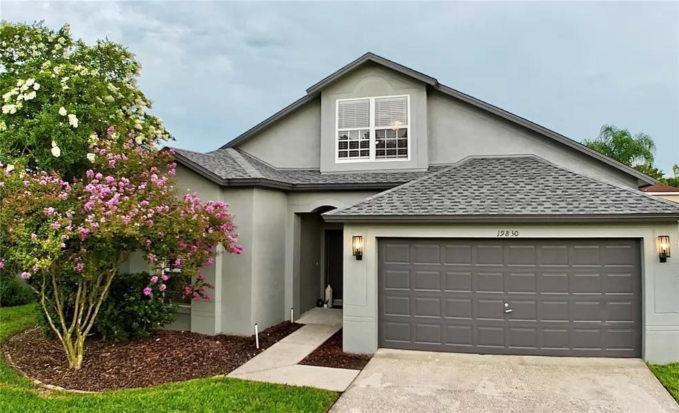19830 ELLENDALE DR, Land O Lakes, FL 34638
