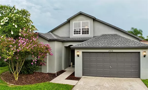 19830 ELLENDALE DR, Land O Lakes, FL 34638