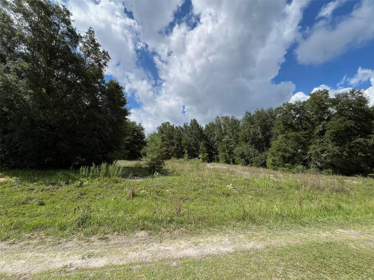 Dunnellon, FL 34432,SW 112TH PL