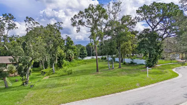 Palm Harbor, FL 34683,2164 WOODS CT