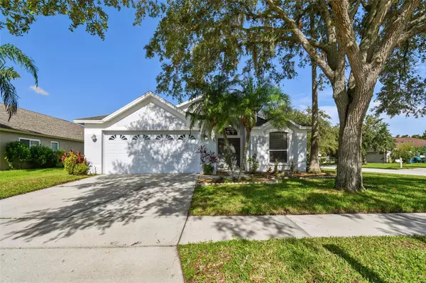 Wesley Chapel, FL 33543,29540 MORWEN PL