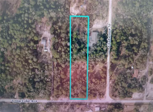 Weeki Wachee, FL 34613,9167 LONG LAKE AVE