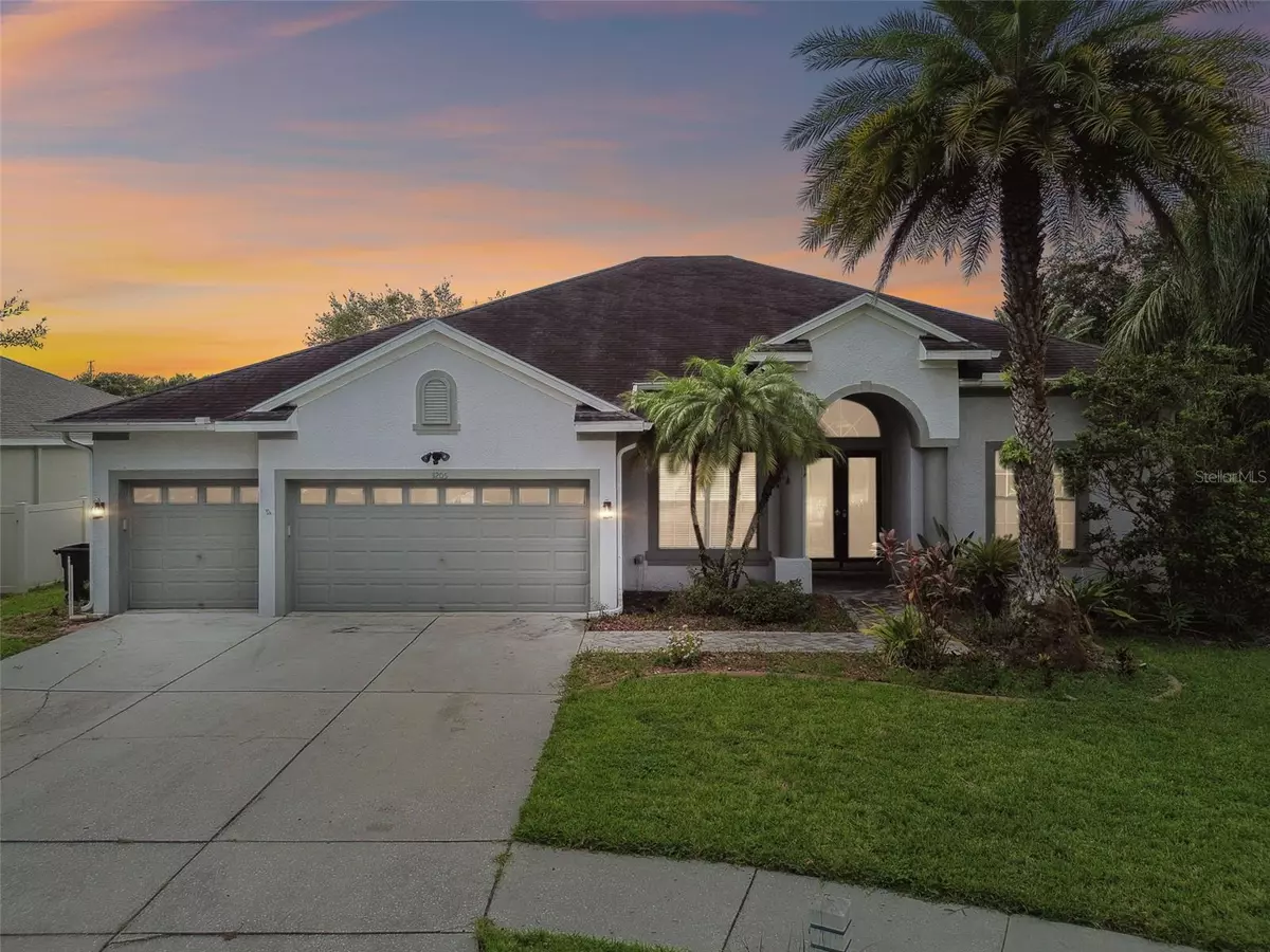 Land O Lakes, FL 34639,3205 HANGING VINE CT