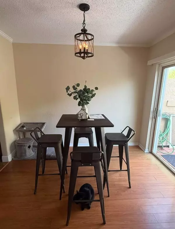 Temple Terrace, FL 33617,11837 WILDEFLOWER PL