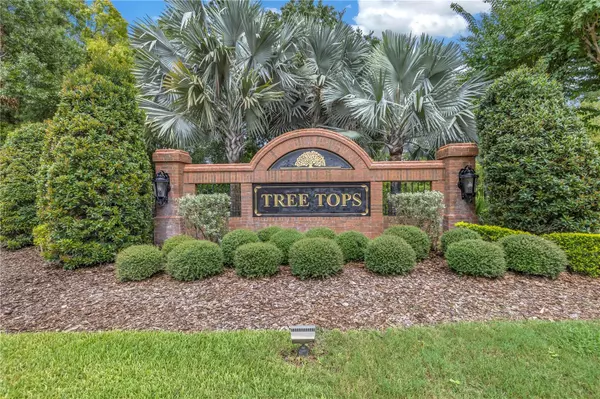 Tampa, FL 33626,9818 TREE TOPS LAKE RD