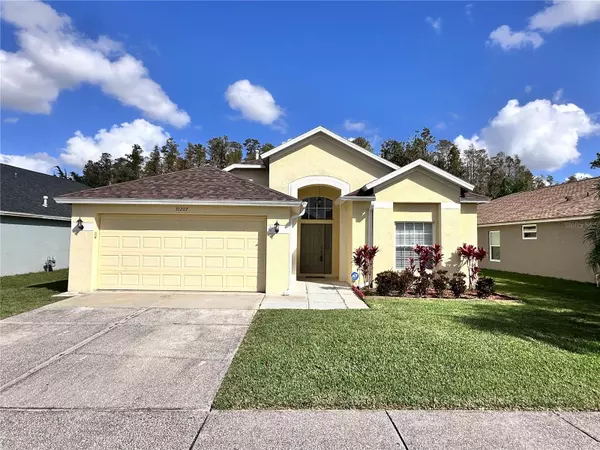 31207 CHATTERLY DR,  Wesley Chapel,  FL 33543