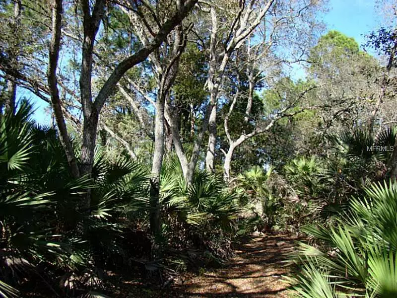 MCCRACKEN RD, Lake Helen, FL 32744