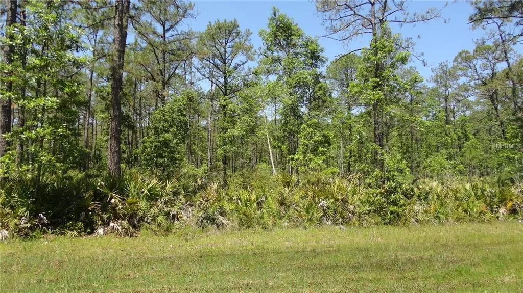 1010 N PREVATT AVE, Lake Helen, FL 32744