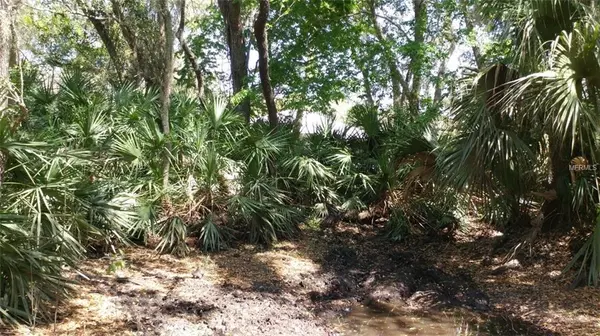 ARLINGTON AVE, New Smyrna Beach, FL 32168