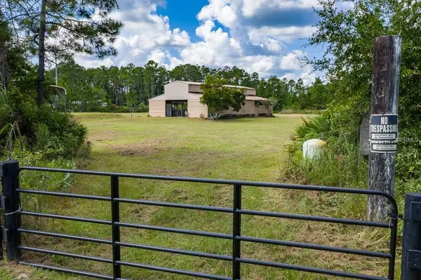 295 OLMSTEAD RD, Pierson, FL 32180