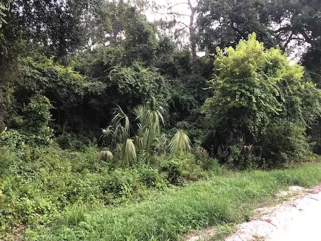 13TH ST, Orange City, FL 32763