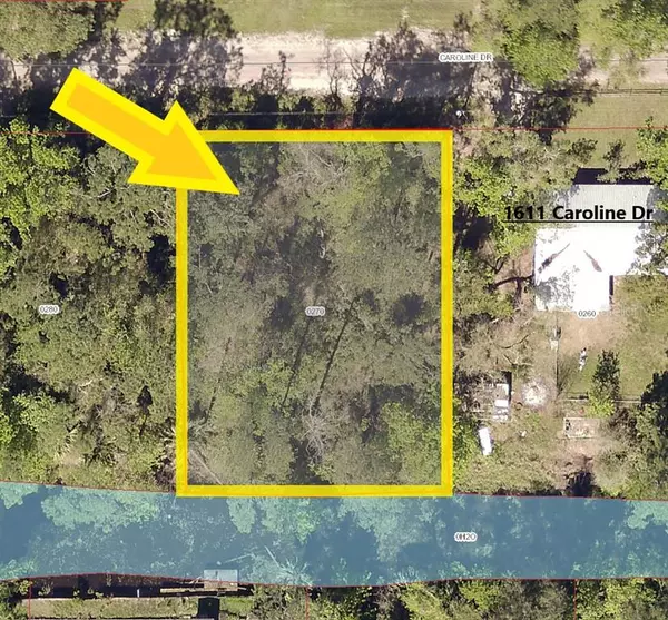 CAROLINE DR, Pierson, FL 32180