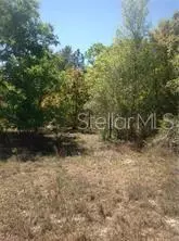 NO STREET, De Leon Springs, FL 32130