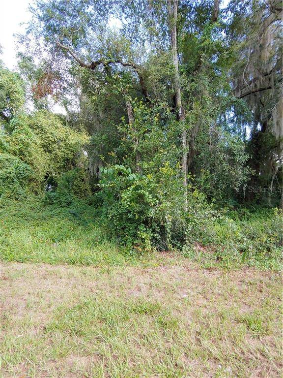 HOLLY LN, Deland, FL 32724